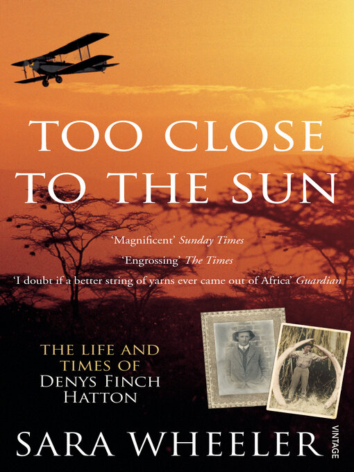 Cover image for Too Close to the Sun